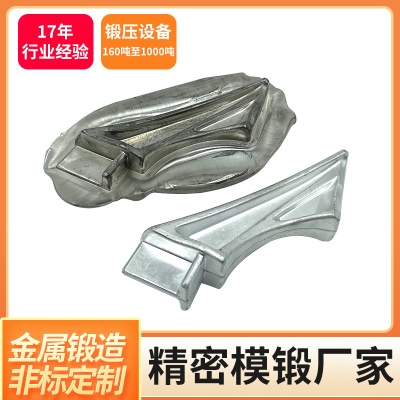 异型锻造件加工精密模锻五金件 热锻件 冷锻打加工铝合金冷锻加工